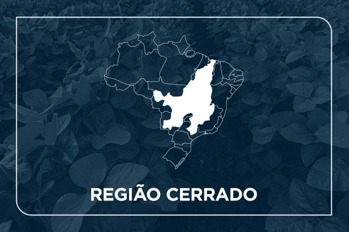 Região Cerrado