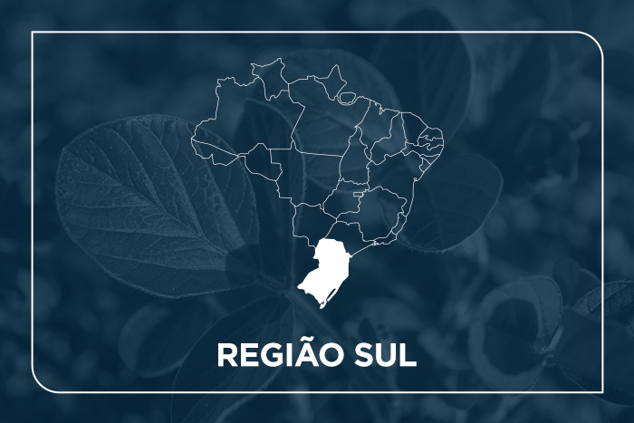 Região Sul