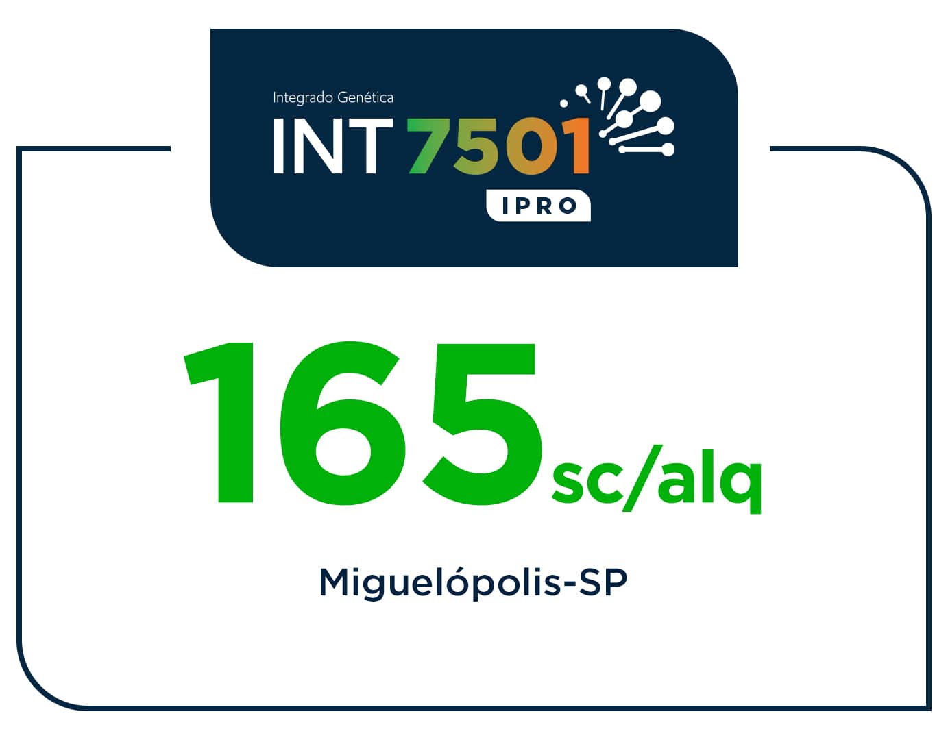 Miguelópolis - 7501