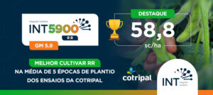 Leia mais sobre o artigo INT 5900 RR – Melhor cultivar RR na média de 5 épocas de plantio dos ensaios da Cotripal