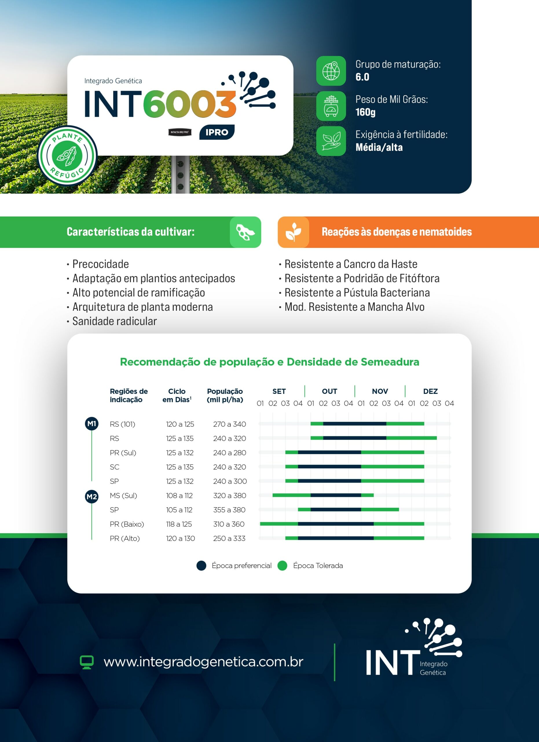 int-folder2025-cultivar-6003a