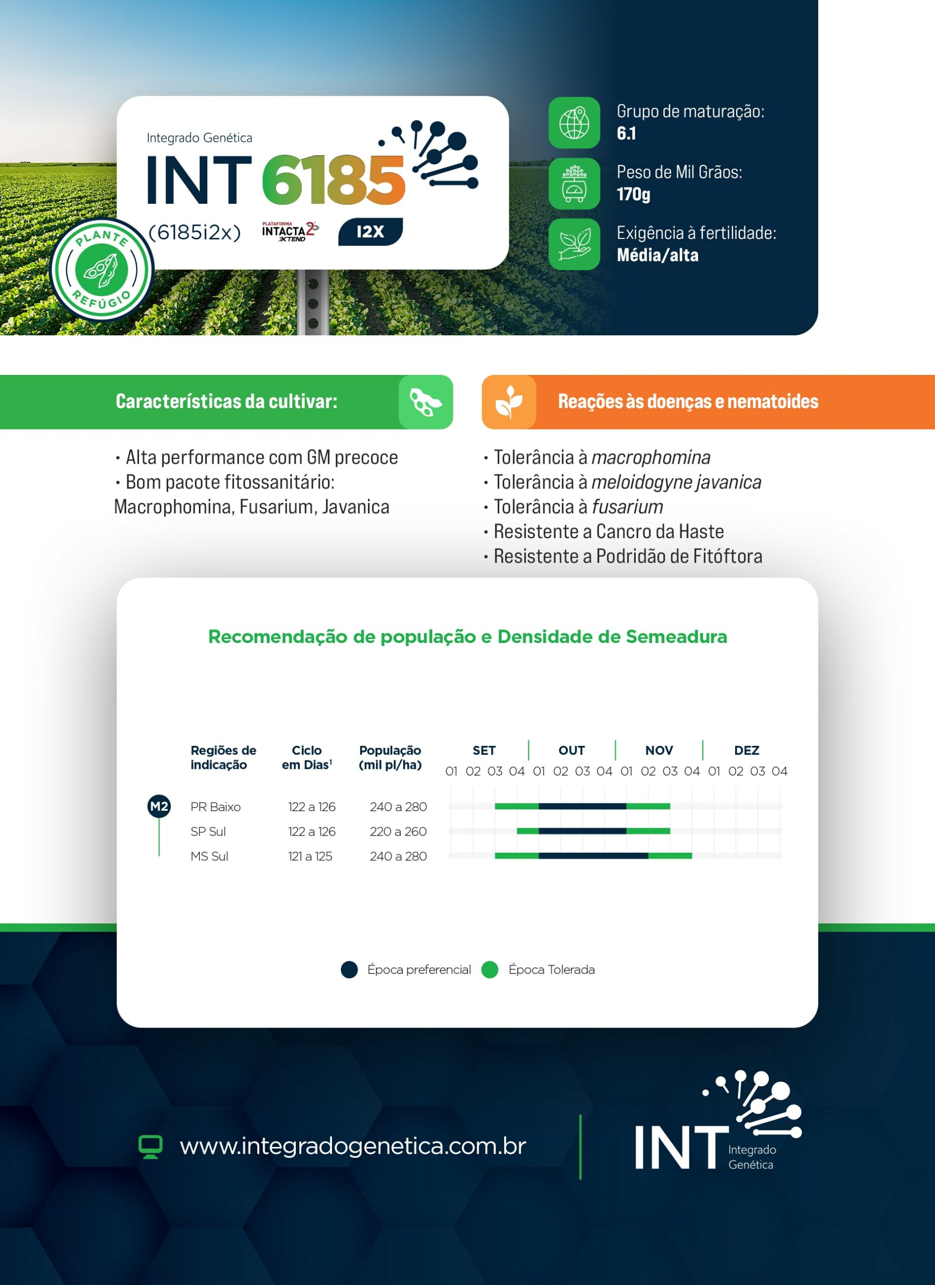 int-folder2025-cultivar-6185a