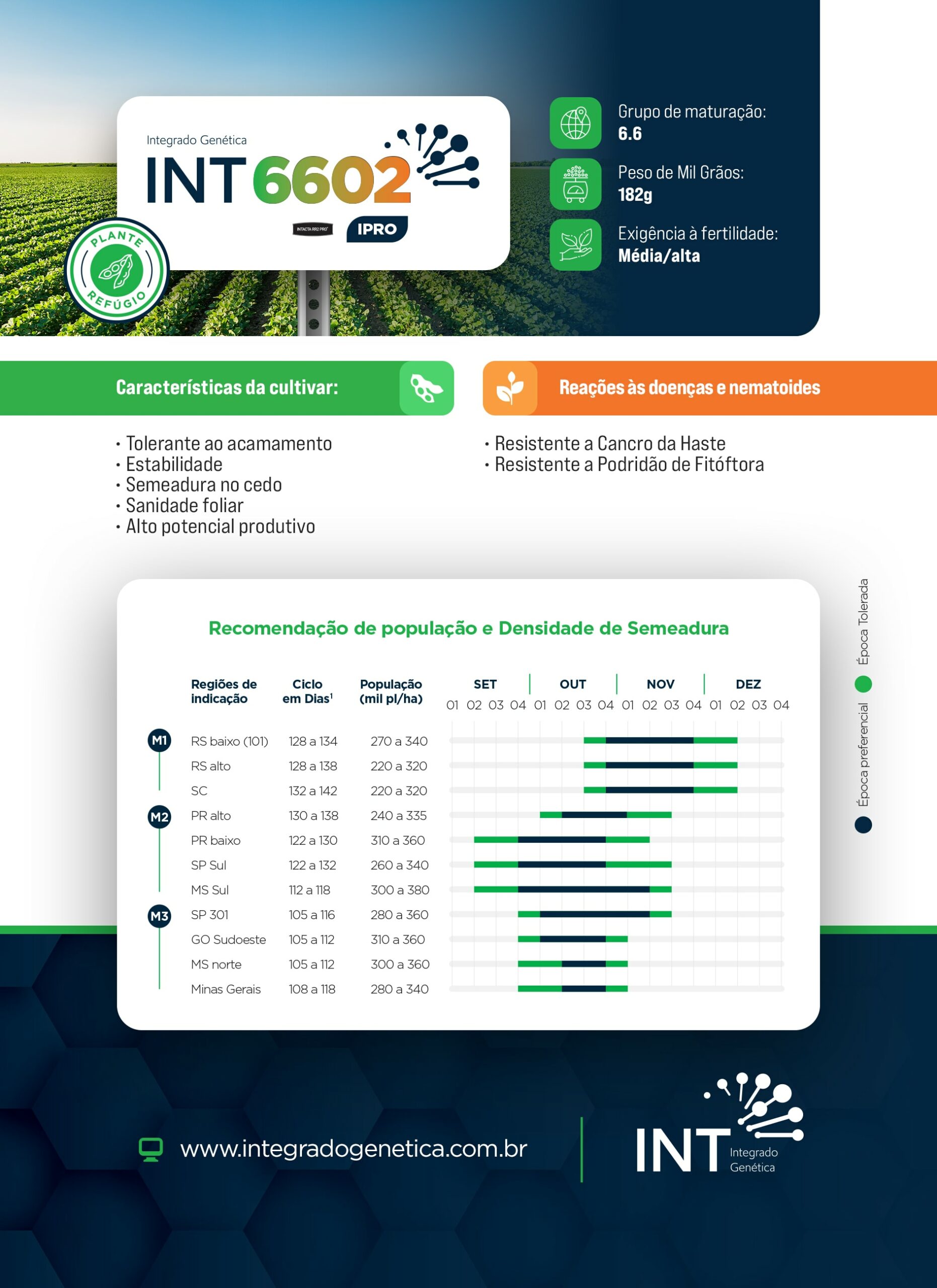 int-folder2025-cultivar-6602a