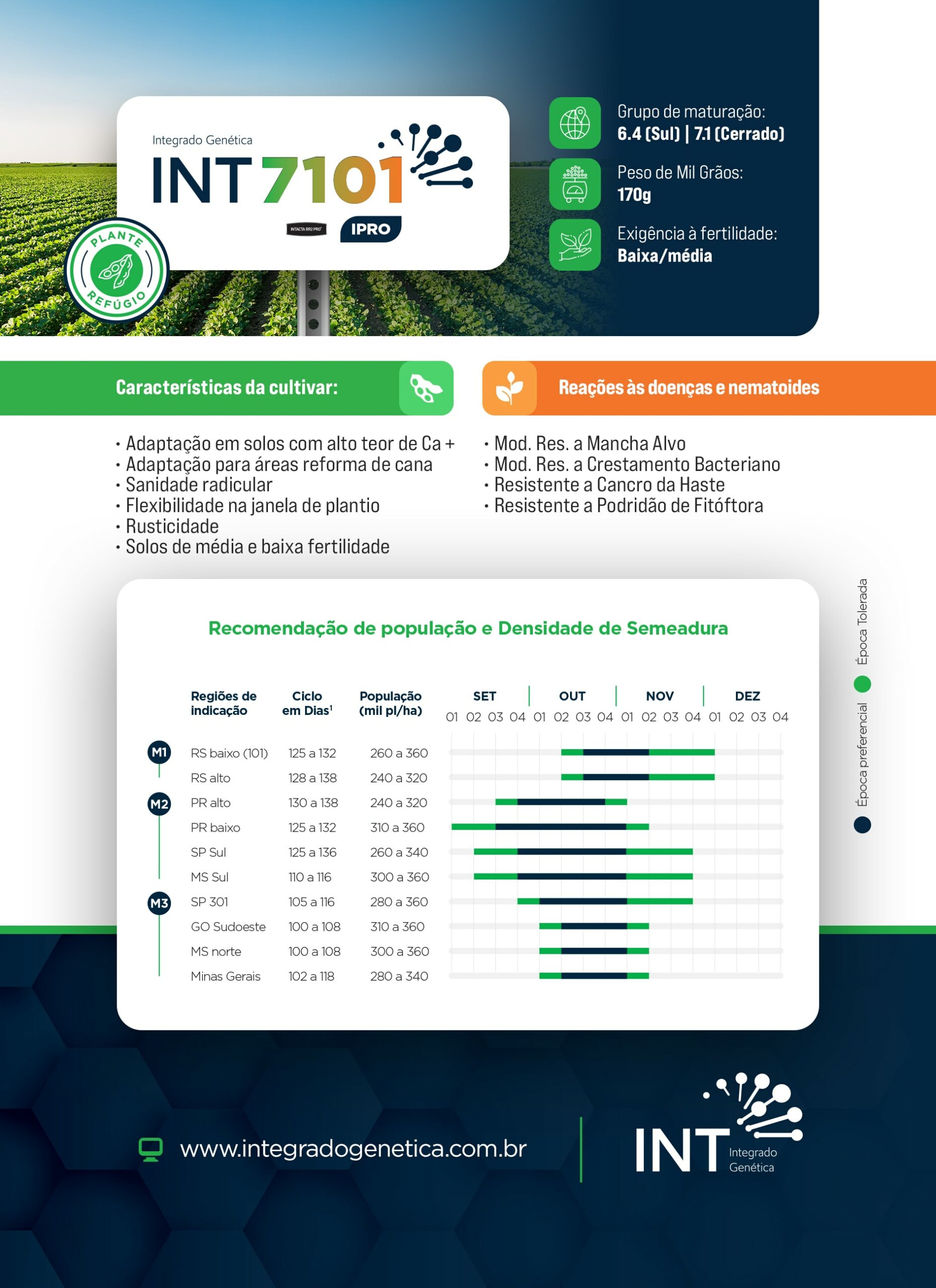 int-folder2025-cultivar-7101a